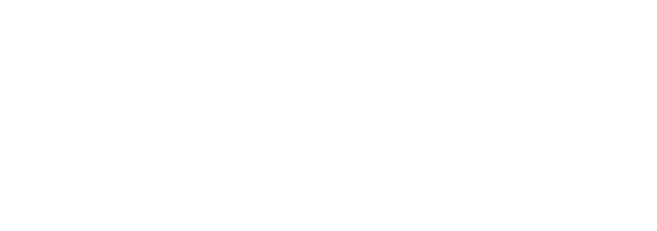 Baltic motorsport solutions